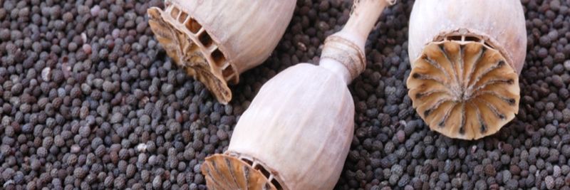 Agricultural Business Küchler - supplier and manufacturer from 독일
