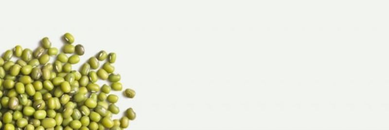 Spring Market Trading Company - supplier and manufacturer from 호주