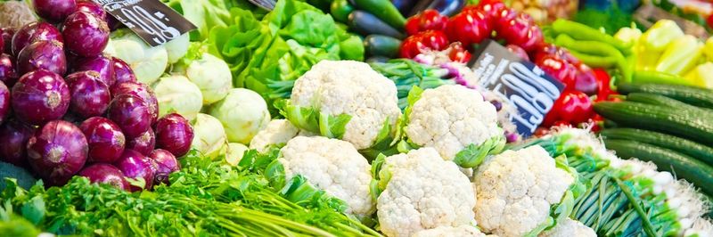 Green Food Processing & Agro Exports - supplier and manufacturer from 방글라데시
