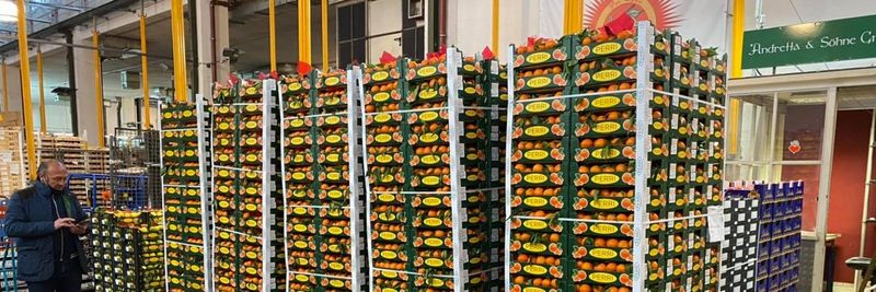 Andretta Mario & Co. Fruchthandels GmbH - supplier and manufacturer from 독일