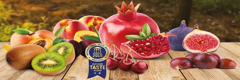Alanar Fruit - supplier and manufacturer from 튀르키예