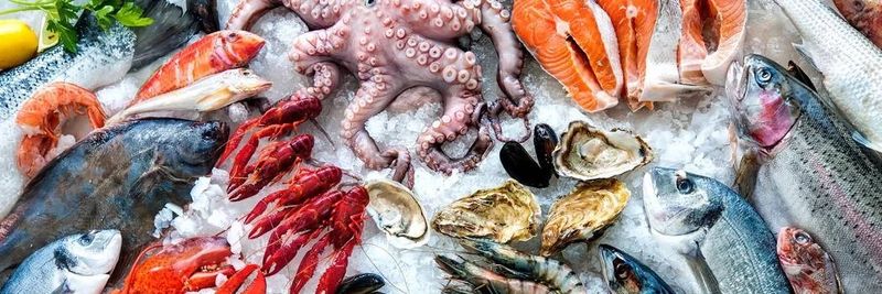 European Seafood - supplier and manufacturer from 아랍 에미리트 연합국