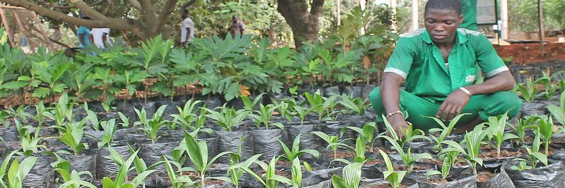 Songhaï - supplier and manufacturer from Benin