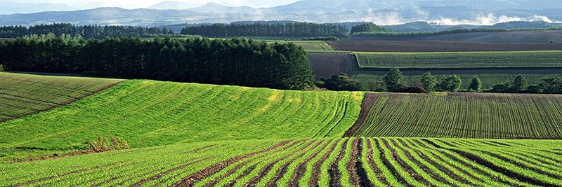 Dalian Xinyi Organics Co.,Ltd. - supplier and manufacturer from China