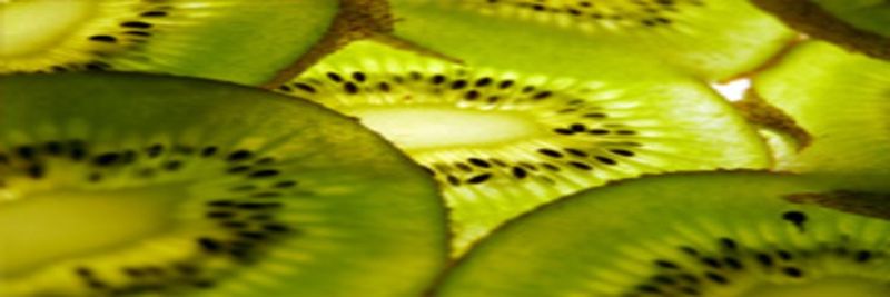 Frudis Sp. Z O.o. - supplier and manufacturer from 폴란드