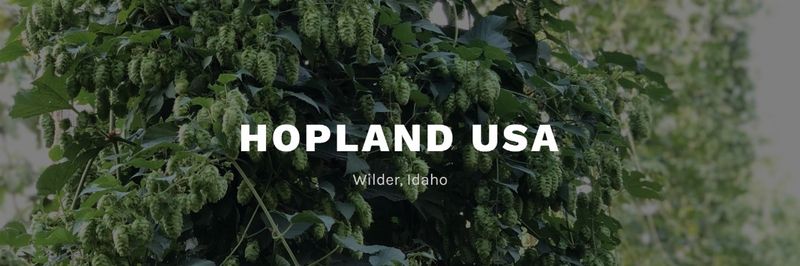 HopLand - supplier and manufacturer from 미국