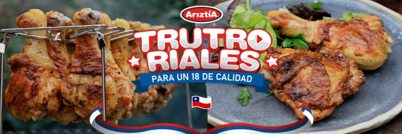AGRICOLA ARIZTIA LTDA - supplier and manufacturer from 칠레