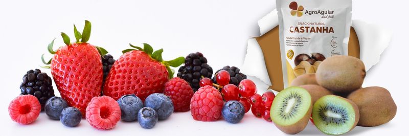 Agroaguiar - Agroindústria, SA - supplier and manufacturer from 포르투갈