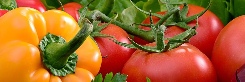 Marstran Fresh - supplier and manufacturer from 케냐