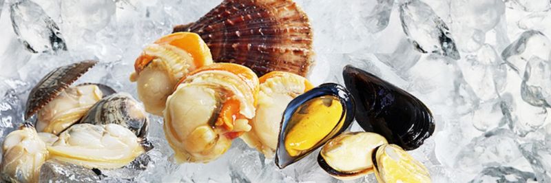 Dandong Grand Ocean Foods Co.,Ltd. - supplier and manufacturer from 중국