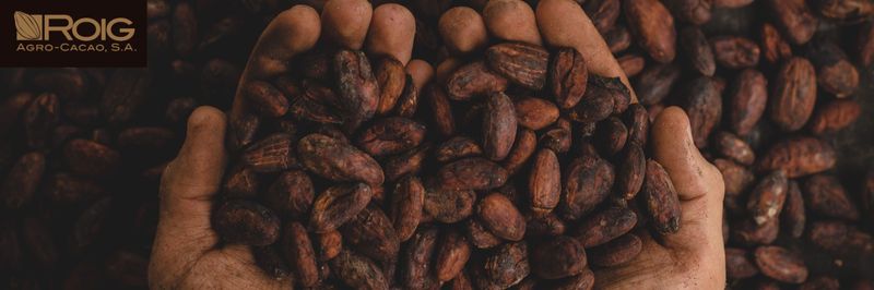 Roig Agro-Cacao S. A. (COMERCIAL ROIG, S. A.) - supplier and manufacturer from Dominican Republic