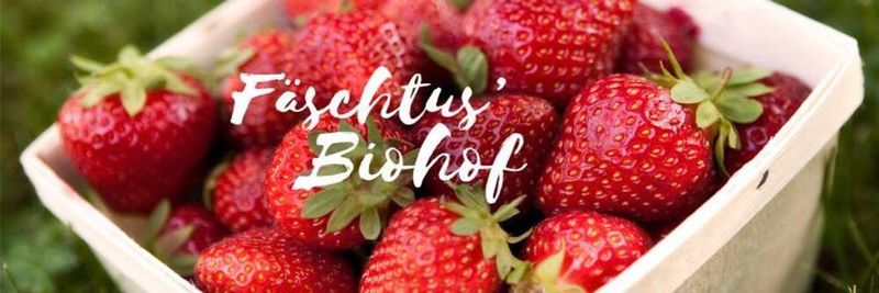 Fäschtus' Biohof - supplier and manufacturer from Switzerland