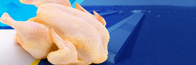 Frigorífico Entrerriano de Productores Avícolas S.A. - supplier and manufacturer from 아르헨티나