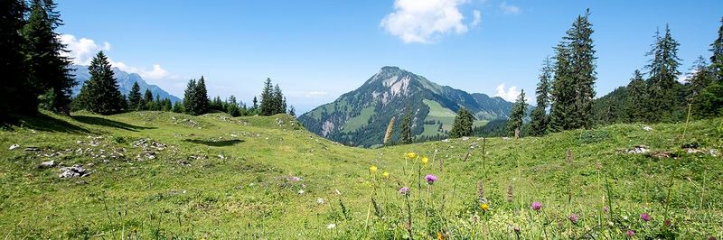 Lustenberger & Durst (SA) - supplier and manufacturer from Switzerland