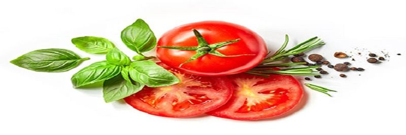 Goiás Verde Alimentos Ltda - supplier and manufacturer from 브라질