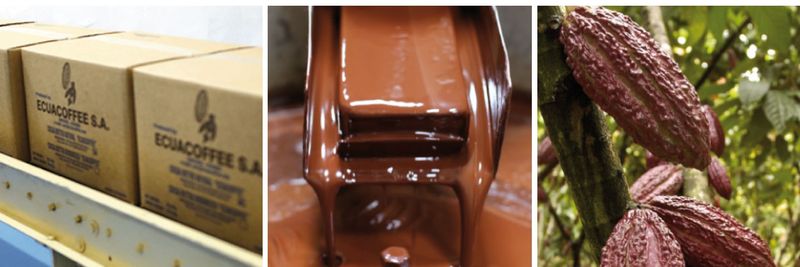 Ecuacoffee S.A. - supplier and manufacturer from Ecuador