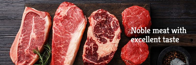 Gourmet Manufaktur Gut Klepelshagen GmbH - supplier and manufacturer from 독일