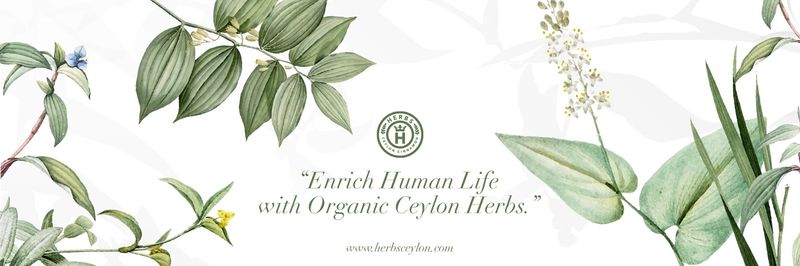 Paradise Ceylon Cinnamon International(pvt)Ltd - supplier and manufacturer from Sri Lanka