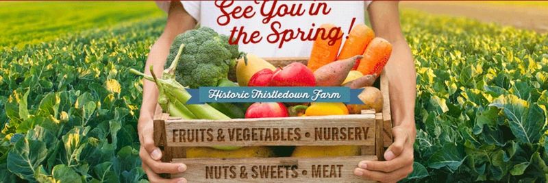THISTLEDOWN FARMS - supplier and manufacturer from 미국