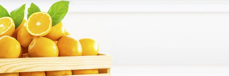 Agroindustrial San German SPA - supplier and manufacturer from Chile