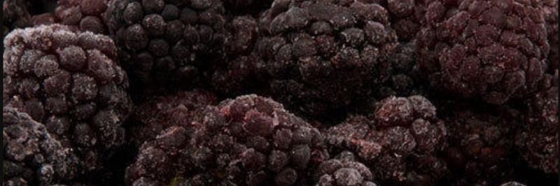 Pellagic Food Ingredients Private Limited - supplier and manufacturer from 인도