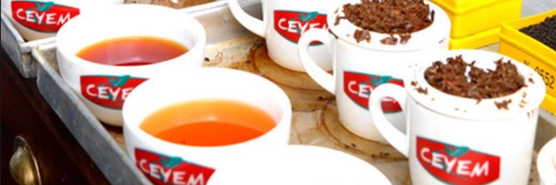 CEYEM Commodities - supplier and manufacturer from 스리랑카