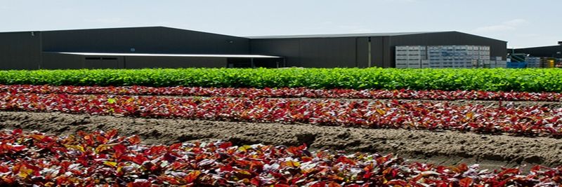Schreurs & Sons - supplier and manufacturer from 호주