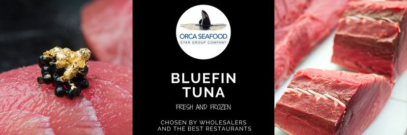 Orca Seafood - supplier and manufacturer from Spain