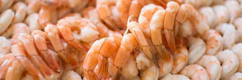 IMS DelicaSea - supplier and manufacturer from 미국