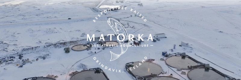 Matorka - supplier and manufacturer from 아이슬란드