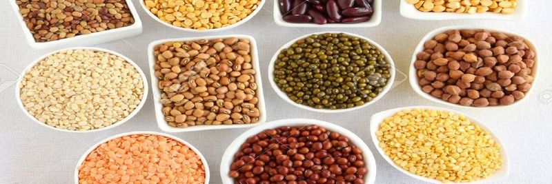 Karim Rice Trader - supplier and manufacturer from 파키스탄