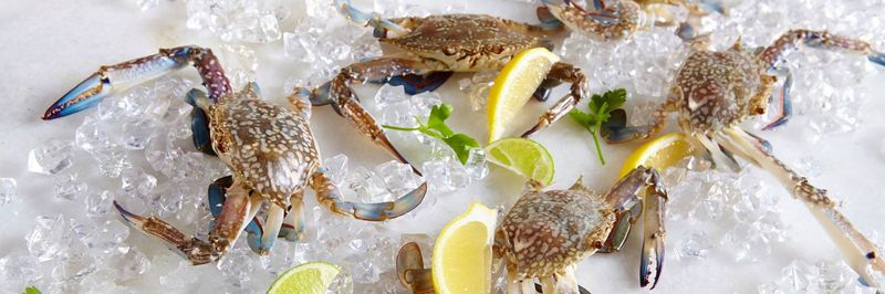 Supreme Crab & Seafood Inc. - supplier and manufacturer from United States