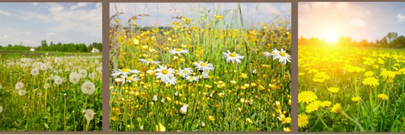 Runo Sp. z o.o. - supplier and manufacturer from Poland