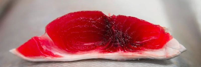 Essential Ocean Foods Inc. - supplier and manufacturer from 미국