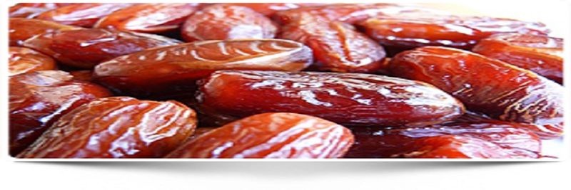 NEPTUS DATTES - supplier and manufacturer from 튀니지