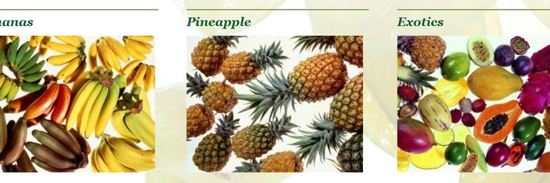 International Fruit Import Company Weichert GmbH & Co. KG - supplier and manufacturer from Germany