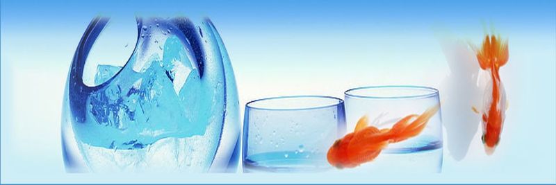 Koukounaras S.A. - supplier and manufacturer from 그리스