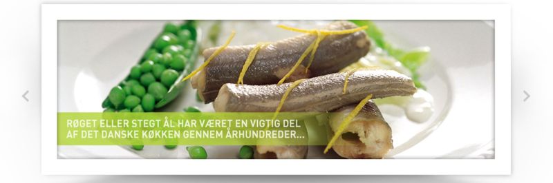 Royal Danish Fish - supplier and manufacturer from Denmark
