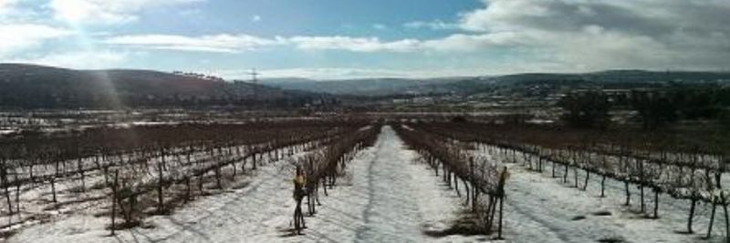 Etzion Field Corps - supplier and manufacturer from Israel