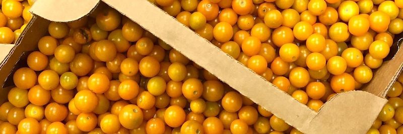 Chefs' Produce - supplier and manufacturer from 미국