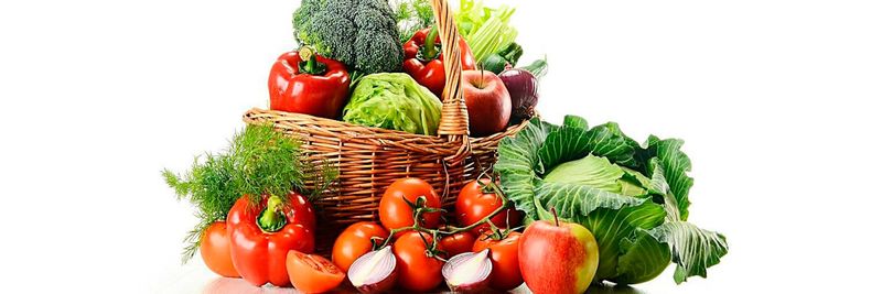 Qingdao Monyinor Food Co., Ltd - supplier and manufacturer from China