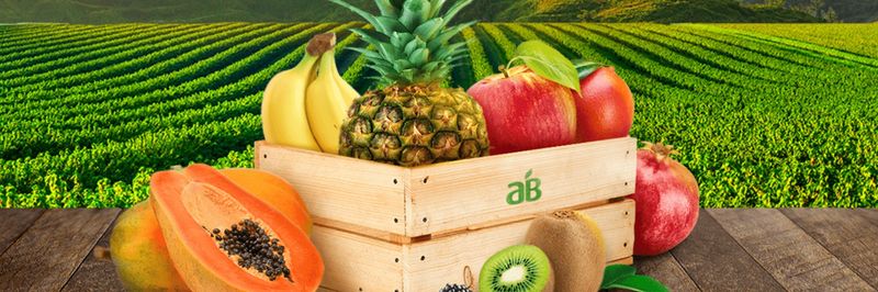 Al Bakrawe Group - supplier and manufacturer from United Arab Emirates