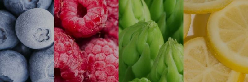 Fruticola Olmue SPA - supplier and manufacturer from Chile