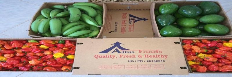 Altus Uganda Ltd - supplier and manufacturer from 우간다