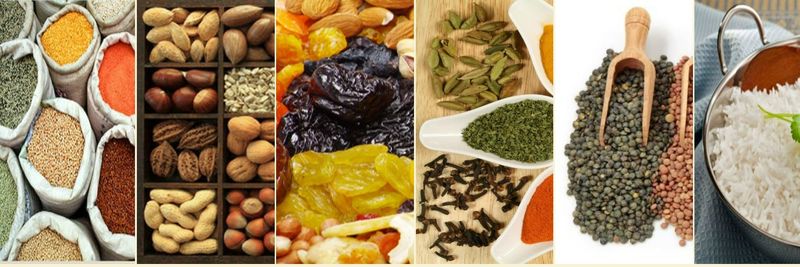 Shree Jageshwar Trading Co - supplier and manufacturer from 인도