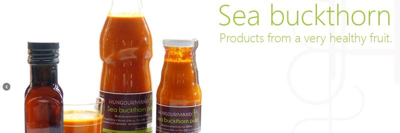 Hungourmand - supplier and manufacturer from Hungary