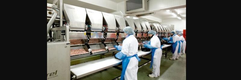 Calibra - supplier and manufacturer from 벨기에