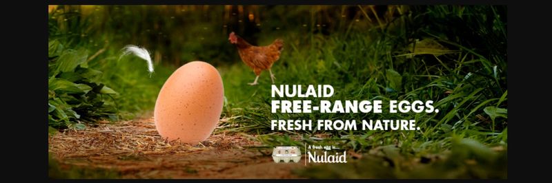 Nulaid - supplier and manufacturer from 남아프리카공화국
