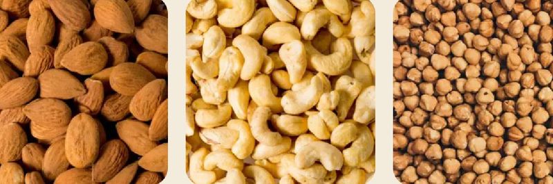 GRAU NUTS - supplier and manufacturer from 스페인