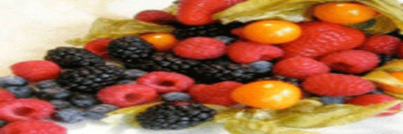 Zulfiqar & Company - supplier and manufacturer from Pakistan